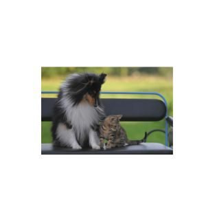 Sin título (300 x 300 px)