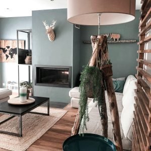 pexels-vince-2876787